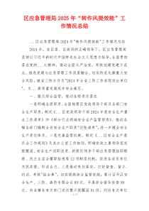 区应急管理局2025年“转作风提效能”工作情况总结
