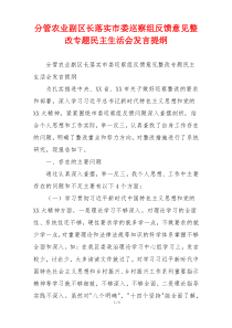 分管农业副区长落实市委巡察组反馈意见整改专题民主生活会发言提纲
