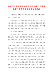 分管国土资源副区长落实市委巡察组反馈意见整改专题民主生活会发言提纲