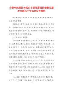 分管审批副区长落实市委巡察组反馈意见整改专题民主生活会发言提纲