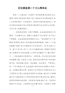 区纪委监委二十大心得体会