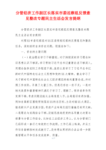 分管经济工作副区长落实市委巡察组反馈意见整改专题民主生活会发言提纲