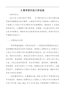 专项行动工作总结