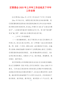 区管委会2025年上半年工作总结及下半年工作安排