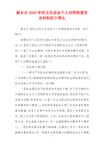 副乡长2025年民主生活会个人对照检查发言材料四个带头