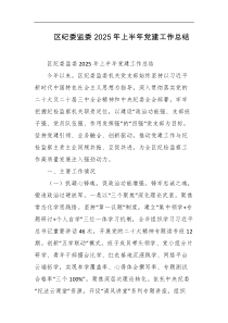 区纪委监委2025年上半年党建工作总结