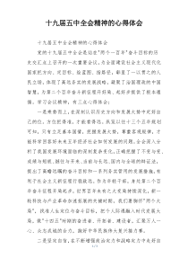 十九届五中全会精神的心得体会
