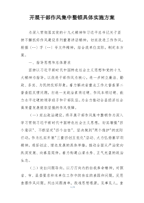 开展干部作风集中整顿具体实施方案
