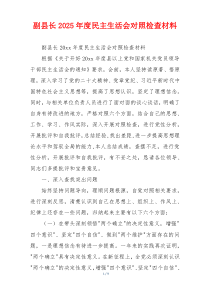 副县长2025年度民主生活会对照检查材料