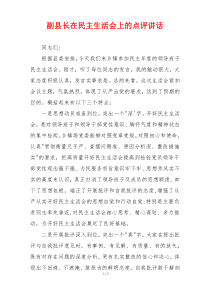 副县长在民主生活会上的点评讲话