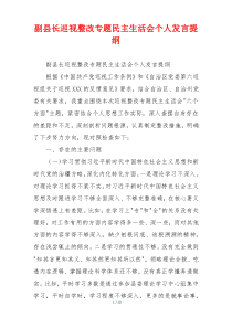 副县长巡视整改专题民主生活会个人发言提纲