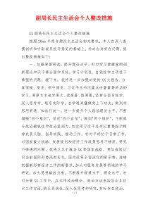 副局长民主生活会个人整改措施