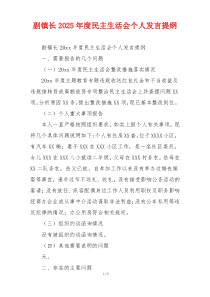 副镇长2025年度民主生活会个人发言提纲
