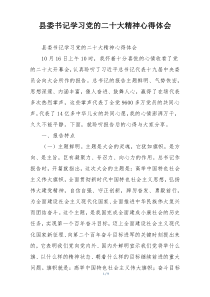 县委书记学习党的二十大精神心得体会