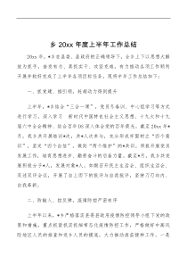 乡20XX年度上半年工作总结