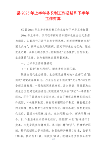 县2025年上半年林长制工作总结和下半年工作打算