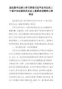 县纪委书记深入学习贯彻习近平总书记在二十届中央纪委四次全会上重要讲话精神心得体会