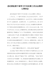 县纪委监委干部学习中央纪委三次全会精神心得体会