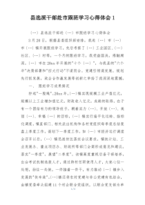 县选派干部赴市跟班学习心得体会1