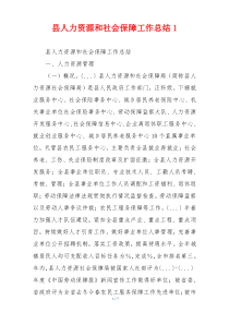 县人力资源和社会保障工作总结1