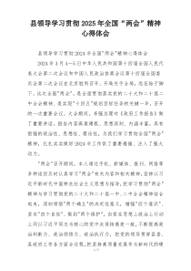 县领导学习贯彻2025年全国“两会”精神心得体会