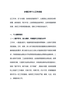 乡镇三年个人工作总结