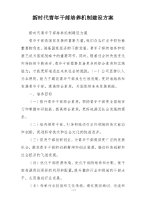 新时代青年干部培养机制建设方案