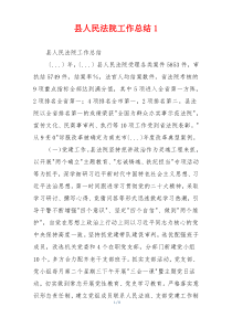 县人民法院工作总结1