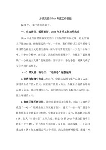乡镇党委20XX年度工作总结