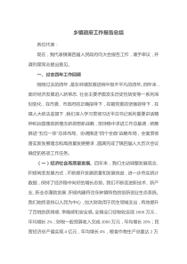 乡镇政府工作报告总结