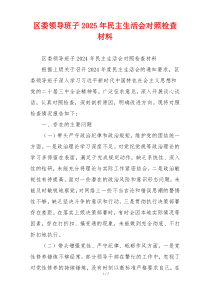 区委领导班子2025年民主生活会对照检查材料