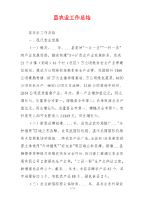县农业工作总结