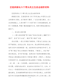 区组织部长六个带头民主生活会剖析材料