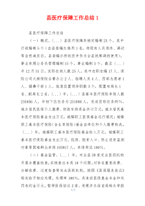 县医疗保障工作总结1