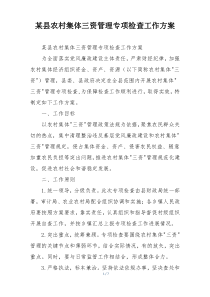 某县农村集体三资管理专项检查工作方案