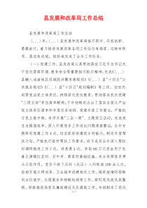 县发展和改革局工作总结