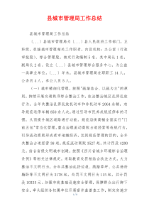 县城市管理局工作总结