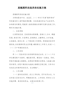 某镇厕所改造具体实施方案