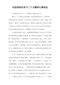 司法局局长学习二十大精神心得体会