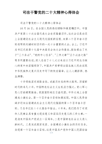 司法干警党的二十大精神心得体会