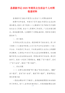 县委副书记2025年度民主生活会个人对照检查材料
