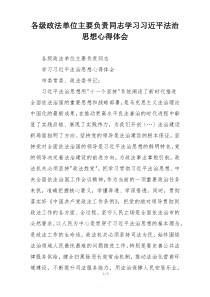 各级政法单位主要负责同志学习习近平法治思想心得体会