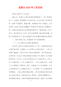 县委办2025年工作总结