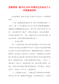 县委常委、副书记2025年度民主生活会个人对照检查材料