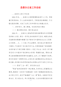 县委办公室工作总结