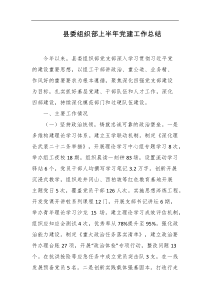 县委组织部上半年党建工作总结