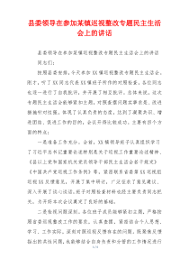 县委领导在参加某镇巡视整改专题民主生活会上的讲话