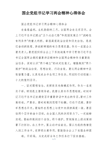 国企党组书记学习两会精神心得体会