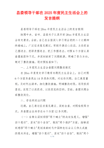 县委领导干部在2025年度民主生活会上的发言提纲