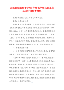 县政协党组班子2025年度七个带头民主生活会对照检查材料